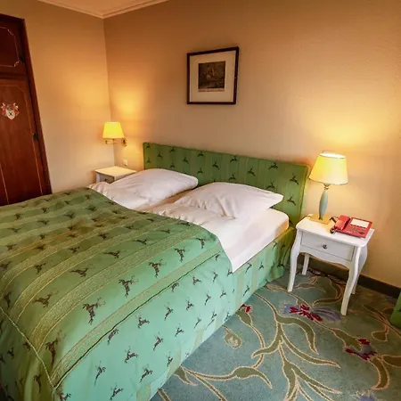 Hotel Hotel-restaurant Burg Hornberg