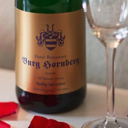 Hotel-restaurant Burg Hornberg Hotel