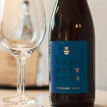 Hotel-restaurant Burg Hornberg Neckarzimmern