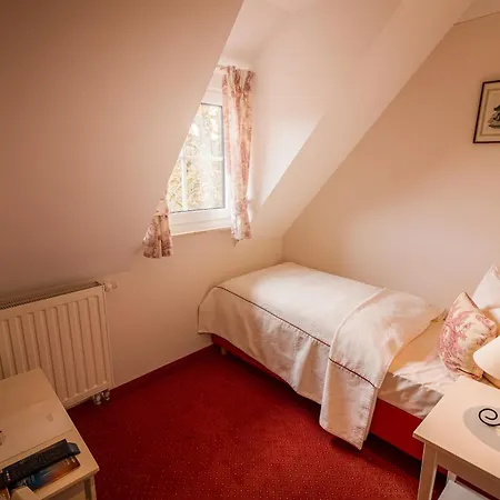 Hotel Hotel-restaurant Burg Hornberg Neckarzimmern