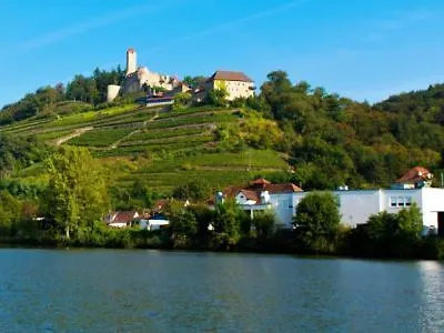 Hotel-restaurant Burg Hornberg Hotel 4*