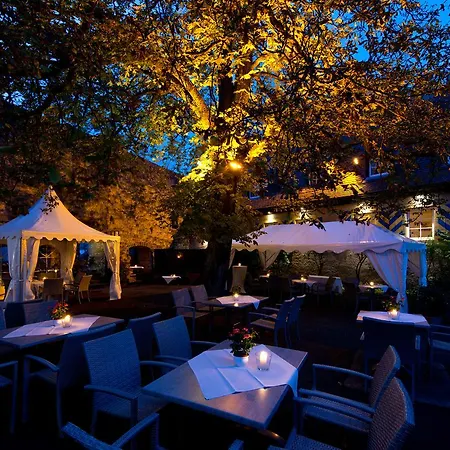 Hotel-restaurant Burg Hornberg Hotel 4*